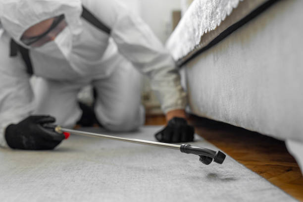 Professional Pest Control technician working in Gardendale, TX