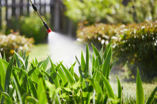 24/7 Emergency Pest Control experts in Gardendale, TX