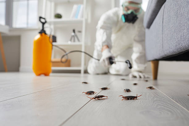 Affordable Pest Control solutions in Gardendale, TX